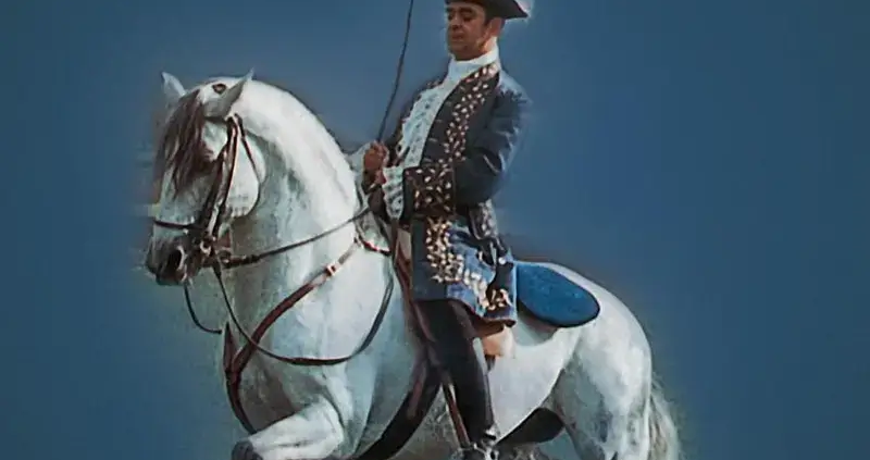 Feira Navional do Cavalo