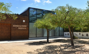 Borboletário Tropical Constância