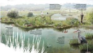 Reserva Natural do Paul do Boquilobo