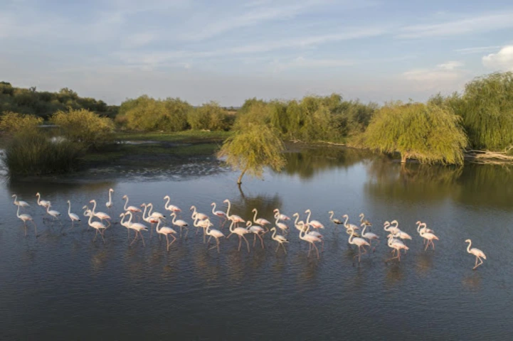 Reserva Natural do Paul do Boquilobo
