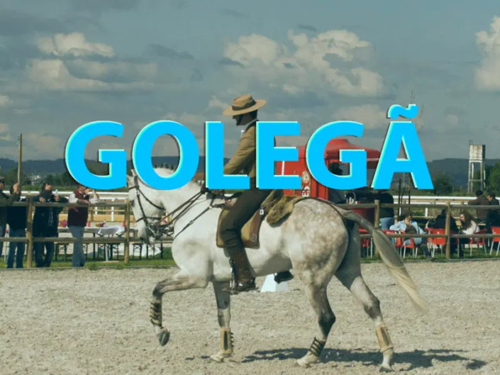 Golegã - Capital dos Cavalos
