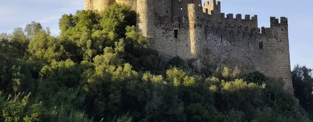 A majestic medieval stone castle perched atop a lush, green rocky islet in the middle of a calm river, under a partly cloudy sky at sunset, with warm golden light illuminating its crenellated towers and walls.