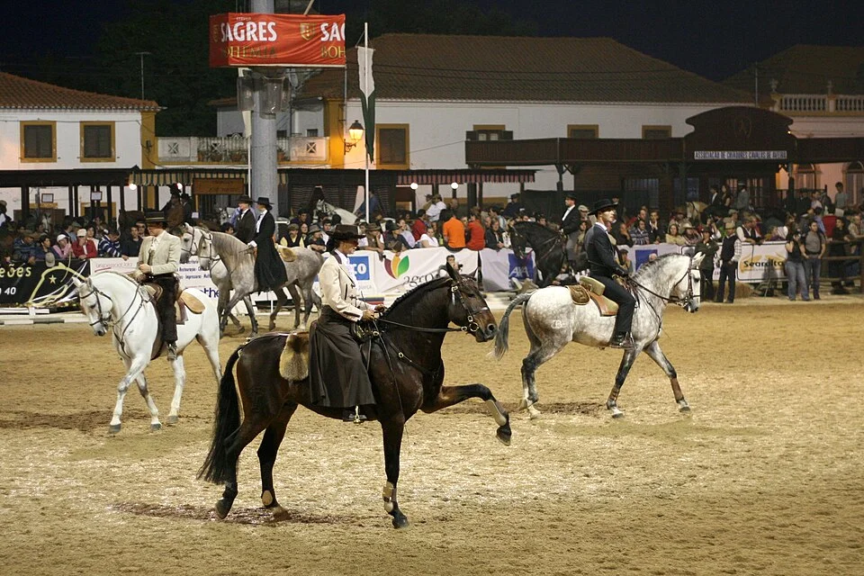 Espetáculo equestre nocturno no recinto da Feira Nacional do Cavalo da Golegã.