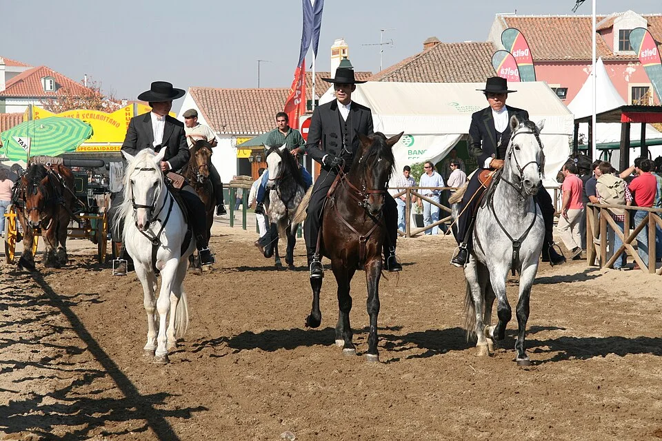 Três cavaleiros de traje tradicional montam cavalos lusitanos no recinto da feira, de manhã.